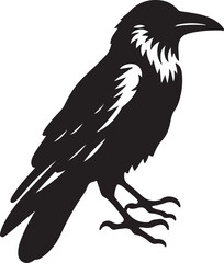 Raven or crow silhouette vector design. Raven vector illustration. Crow or raven logo, icon balck and white.