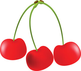 two cherries with leaves