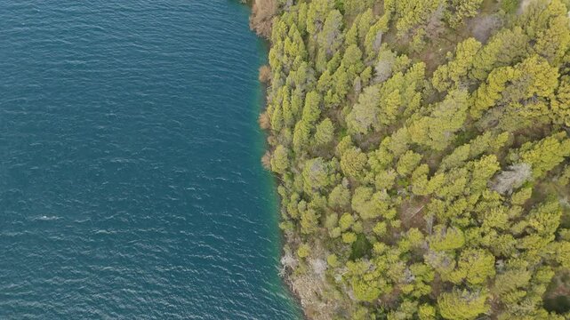 Lake Lacar coast, in Patagonia, Argentina, overhead close up aerial footage, bordering a dense forest