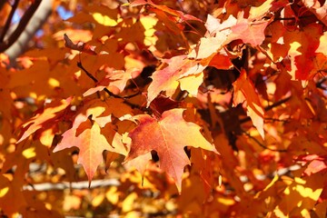 Portland, Maine, USA