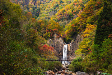 紅葉に囲まれた苗名滝と吊り橋