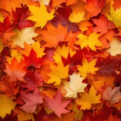 A vibrant collection of autumn leaves in various shades of red, orange, and yellow.