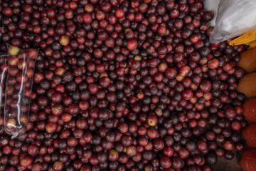 CAMU CAMU, AMAZONIAN FRUIT THAT GROWS ON THE BANKS OF RIVERS, DELICIOUS RED FRUIT KNOWN AS CAMU CAMU, DELICIOUS IN ICE CREAMS AND DESSERTS