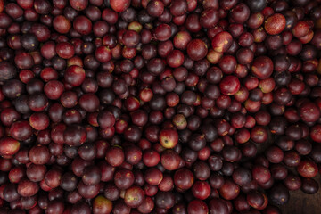 CAMU CAMU, AMAZONIAN FRUIT THAT GROWS ON THE BANKS OF RIVERS, DELICIOUS RED FRUIT KNOWN AS CAMU CAMU, DELICIOUS IN ICE CREAMS AND DESSERTS