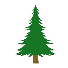 Pine tree illustration design, perfect for Christmas tree