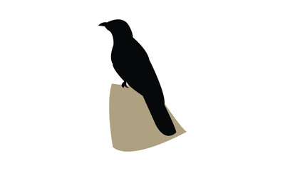 Common Hawk Cuckoo Silhouette Design  And Vector Illustration. 