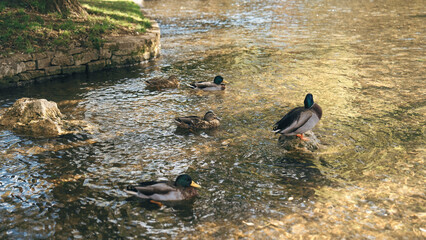 Cotswold countryside, England