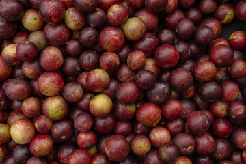 CAMU CAMU, AMAZONIAN FRUIT THAT GROWS ON THE BANKS OF RIVERS, DELICIOUS RED FRUIT KNOWN AS CAMU CAMU, DELICIOUS IN ICE CREAMS AND DESSERTS