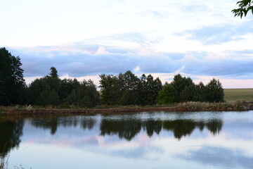 Beautiful landscape. Trees are reflected in the water.