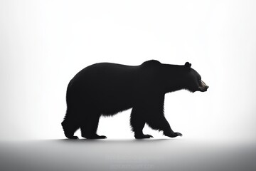 Fototapeta premium Silhouette of a large black bear walking in a minimalist setting
