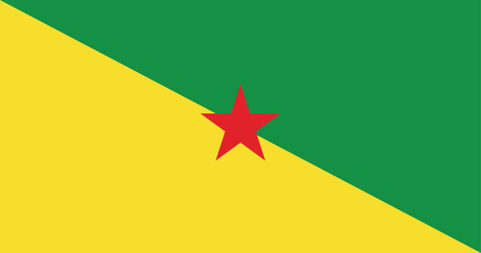 French Guiana Flag Illustration