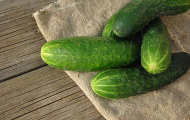 fresh cucumbers on a wooden table