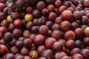 CAMU CAMU, AMAZONIAN FRUIT THAT GROWS ON THE BANKS OF RIVERS, DELICIOUS RED FRUIT KNOWN AS CAMU CAMU, DELICIOUS IN ICE CREAMS AND DESSERTS