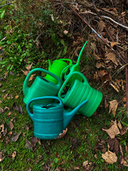 Cluster of Green Watering Cans on Grass Surrounded by Autumn Leaves and Garden Foliage, Capturing the Rustic Charm of Gardening Tools in a Natural Outdoor Setting