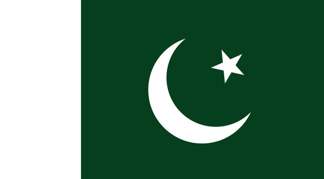 Pakistan Flag Illustration