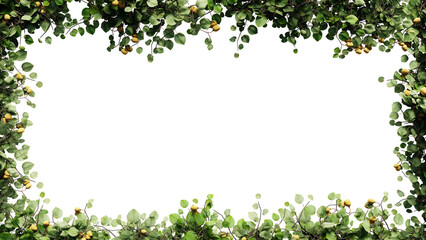 Fresh green leaves and flower frame isolated with transparent background