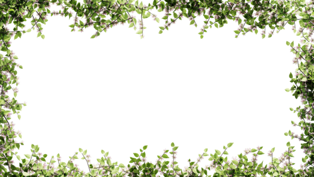 Fresh green leaves and flower frame isolated with transparent background