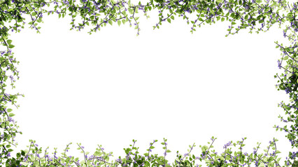 Fresh green leaves and flower frame isolated with transparent background