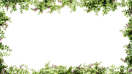 Fresh green leaves and flower frame isolated with transparent background