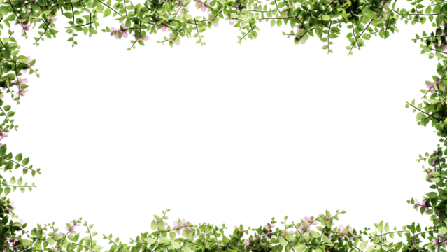 Fresh green leaves and flower frame isolated with transparent background