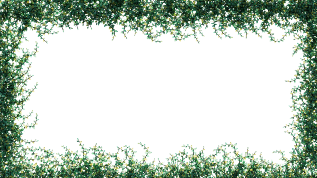 Fresh green leaves and flower frame isolated with transparent background