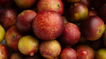CAMU CAMU, AMAZONIAN FRUIT THAT GROWS ON THE BANKS OF RIVERS, DELICIOUS RED FRUIT KNOWN AS CAMU CAMU
