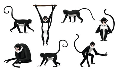 Spider Monkey Various Poses Cartoon Vector Character
