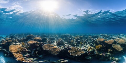 Vibrant coral reef complex biome teeming with diverse marine life and stunning underwater landscapes.