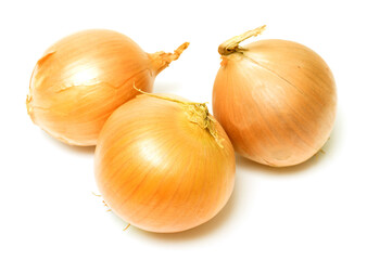 onion is not white background