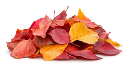 A mound of mostly brown leaves, with a few bright yellow leaves on top, scattered lightly, isolated on white background