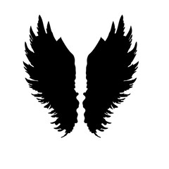 angel wings. the black angel wings look like a real feather. it's a beautiful color for vector. the vector looks good and nice.