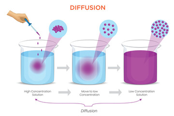 Diffusion Movement of Particles from High to Low Concentration