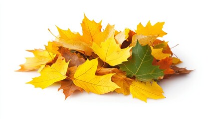 Fototapeta premium A small pile of yellow and orange autumn leaves, loosely scattered and mixed with a few green leaves, isolated on white background