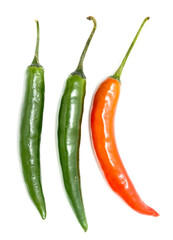 chili pepper on a white background