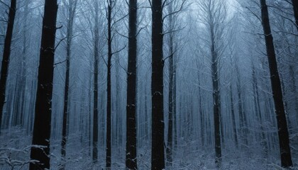 Fototapeta premium Snowflakes drifting through the air in a forest 