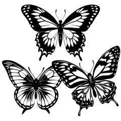 set of butterflies