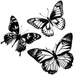 set of butterflies
