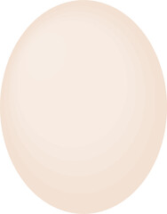 Rambutan fruit vector illustration