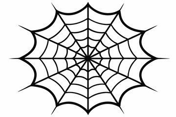 Spider web vector illustration with white background