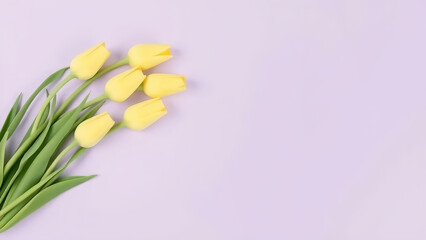 Soft yellow tulips with muted green stems arching outward from the top left corner on a pale lavender background