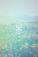 Sacred geometry Flower of life vector illustration. Esoteric Energy Elements in Futuristic Design related to Tarot, Alchemy and Astrology. Golden ratio and Fibonacci row inspired design.