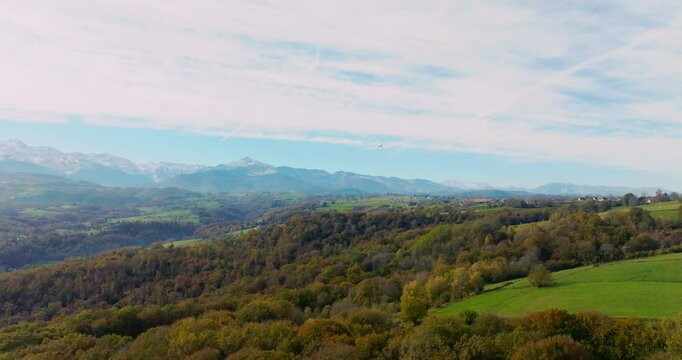 Vol de la buse sur la for&ecirc;t