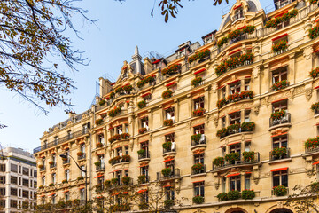 Fototapeta premium houses in the city