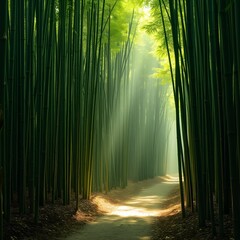 Sunrise in the forest