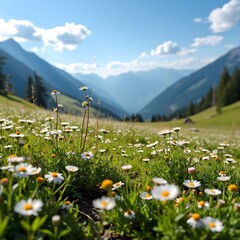 Alpine meadow in the mountains