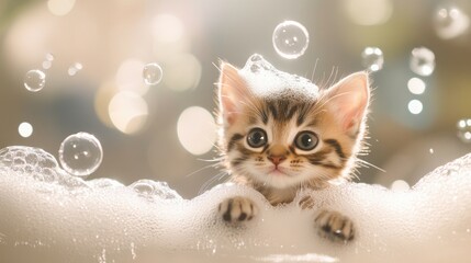 Adorable Kitten Surrounded by Bubbles in a Playful Bath Scene with Soft Focus Background and Bright Highlights, Perfect for Animal Lovers and Pet Enthusiasts