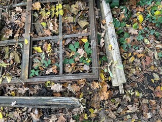 Discarded rotting window frame lying in woodland setting