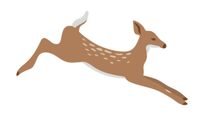 Realistic deer. Fawn in a jump. Isolated vector illustration for print, logo, card, background
