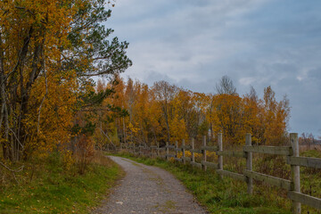 Naklejka premium A narrow gravel path winds through the scene, bordered by wooden fencing on the right and a mix of grass and sparse vegetation on the left. Autumn landscape at Paljassaare Peninsula, Tallinn, Estonia.