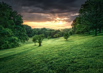 Obraz premium Lush Green Park at Sunset